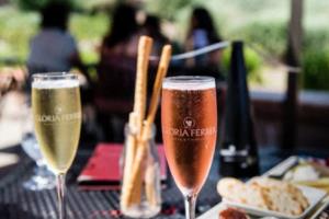 2022年卡塔尔世界杯，全球足球的盛宴与变迁足球世界杯足坛