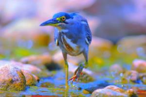 世界杯足球与K-pop，音乐与体育的完美融合世界杯足球kpop