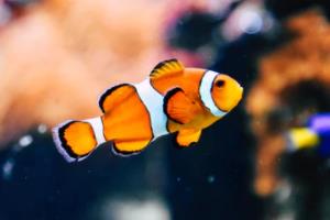 世界杯直播昨夜，全球球迷的狂欢与期待世界杯直播昨天