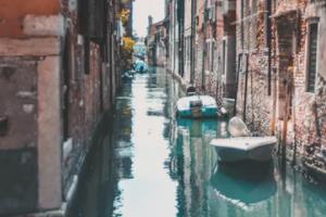 卡塔尔世界杯，冠军背后的故事与启示今年世界杯冠军